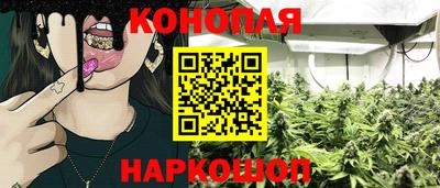 твердый Будённовск