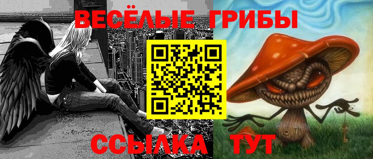 Новошахтинск  Псилоцибиновые грибы GOLDEN TEACHER  что такое   Псилоцибиновые грибы GOLDEN TEACHER  Вход с VPN 