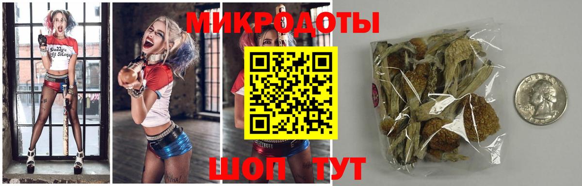 Псилоцибиновые грибы Psilocybine cubensis Новошахтинск